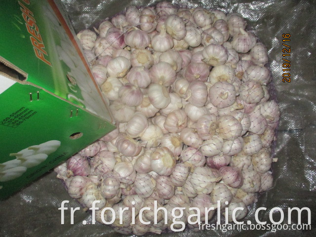 How To Cook Garlic Cloves